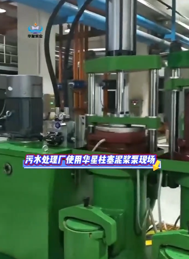 污水處理廠使用華星柱塞泥漿泵現(xiàn)場